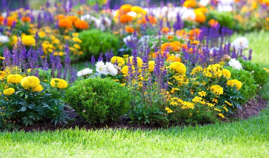 Garden Bed Installation